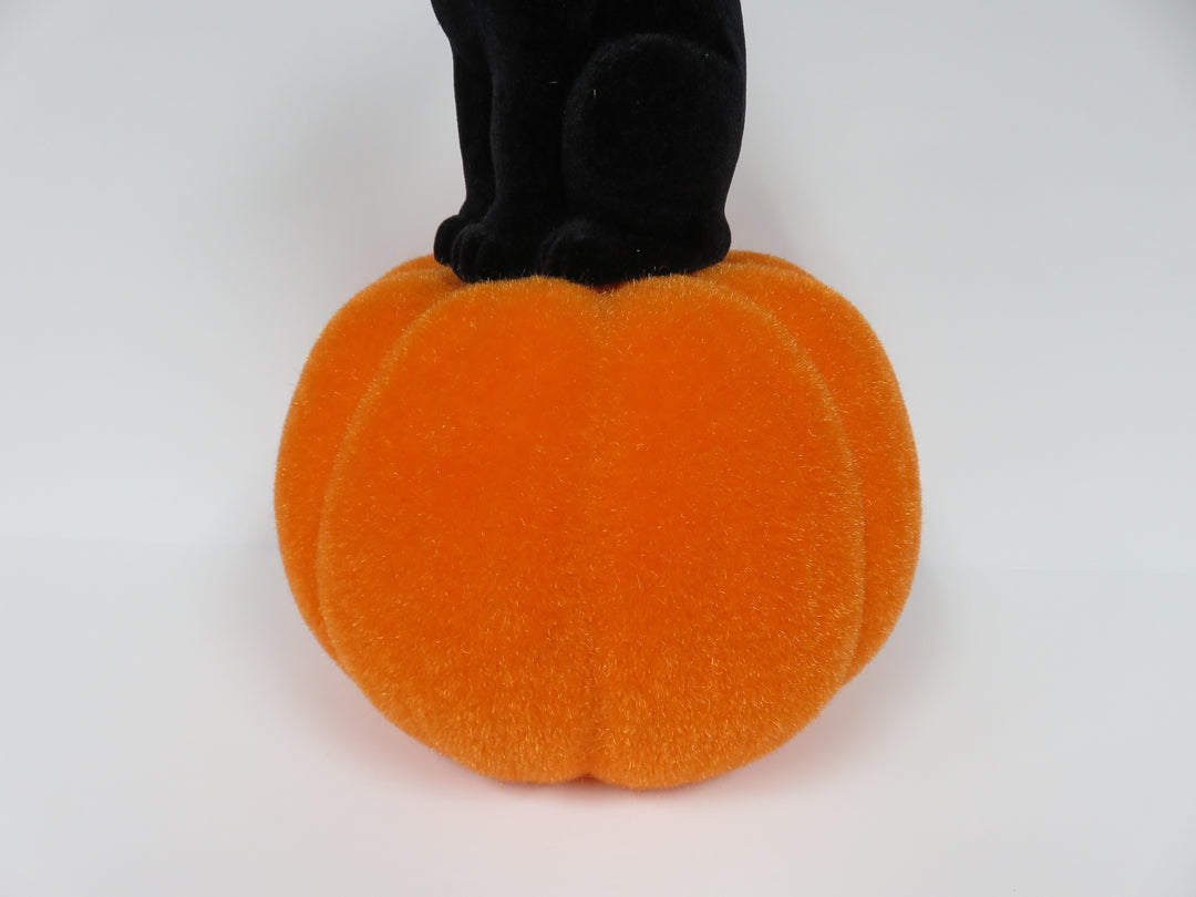 Flocked Cat on Pumpkin