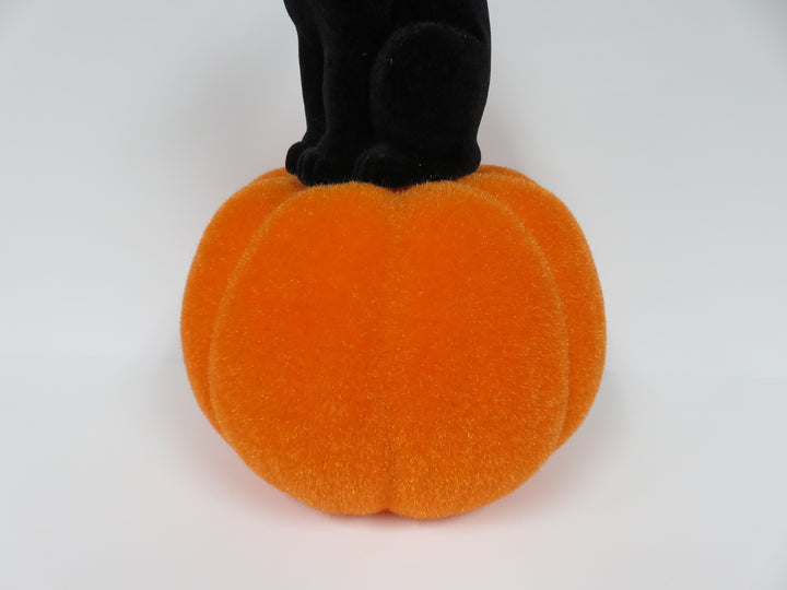 Flocked Cat on Pumpkin