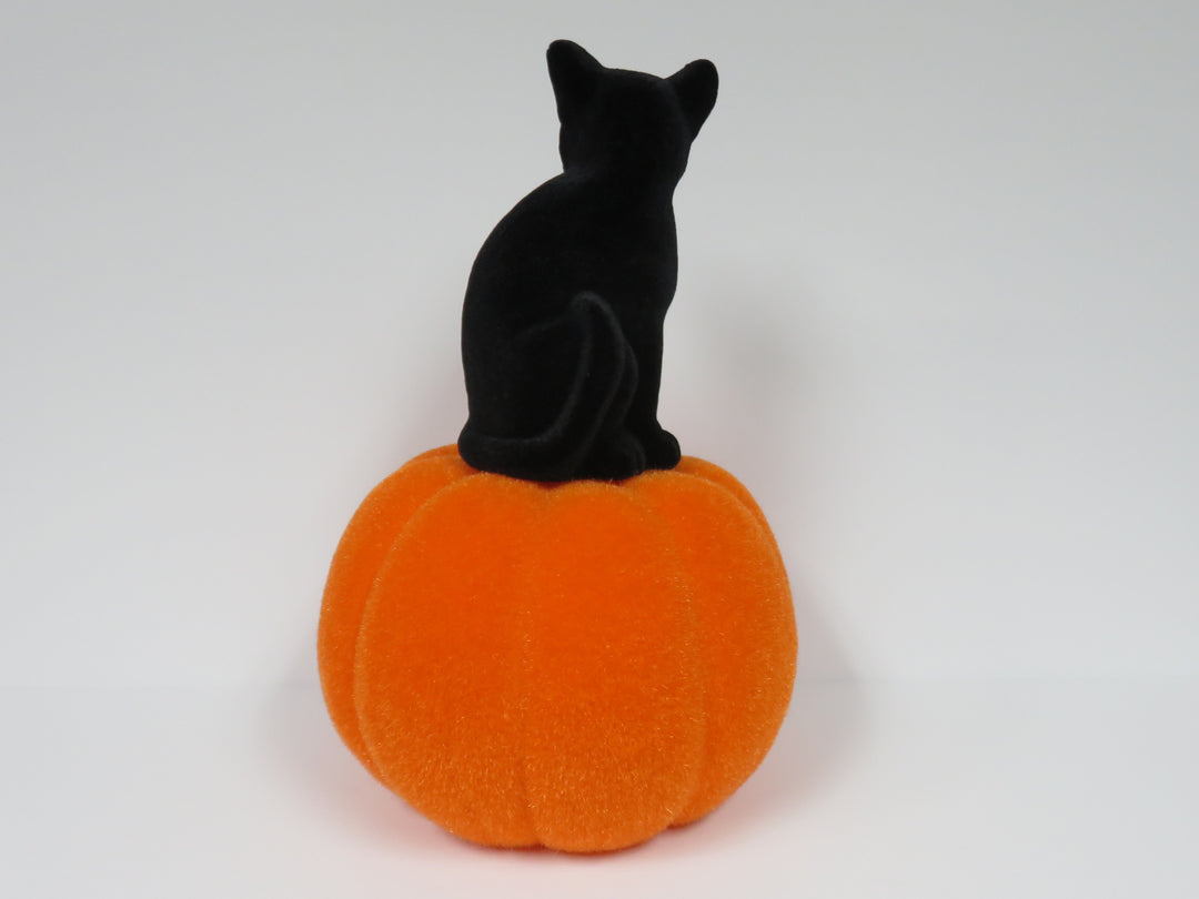 Flocked Cat on Pumpkin