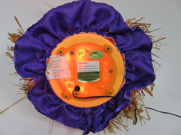 Halloween Fiber Optic Jack O' Lantern