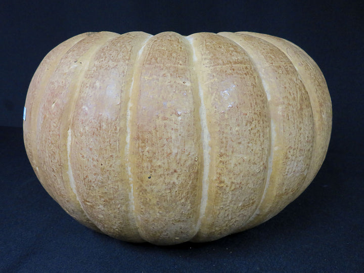 Luminari Pumpkin Decor
