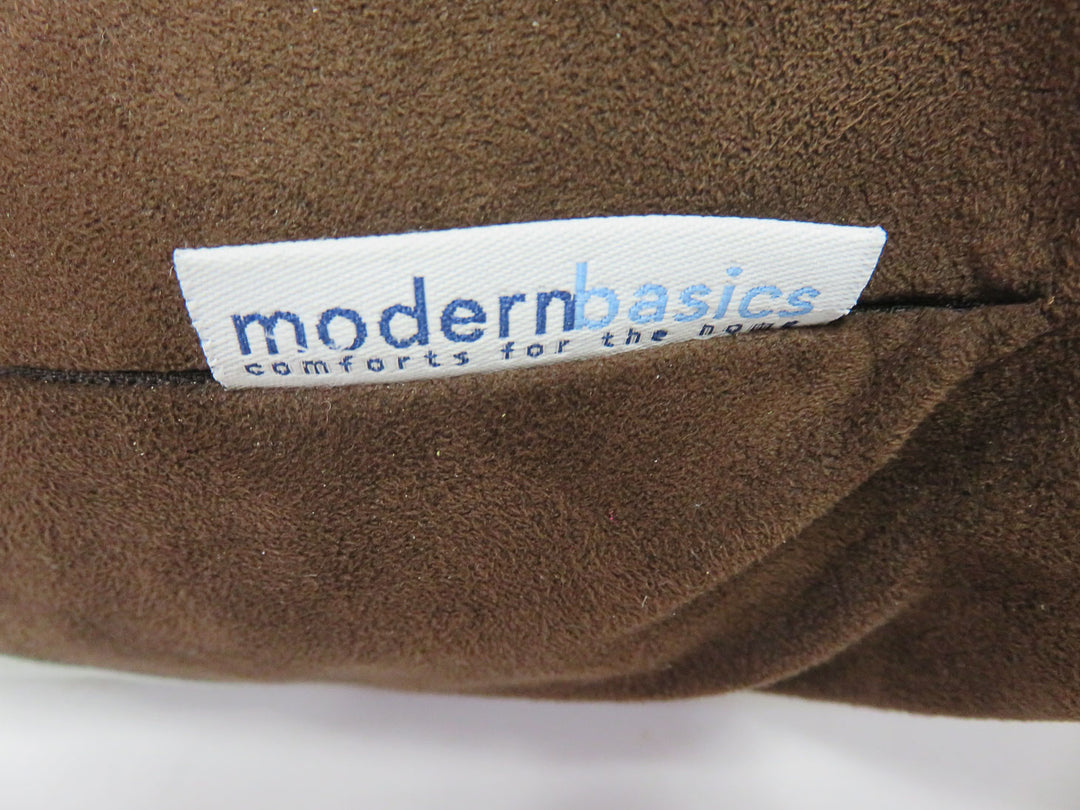 Pair of Modern Basics Throw Pillows