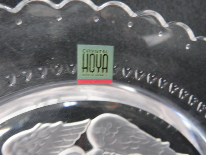 Hoya Angel Plate