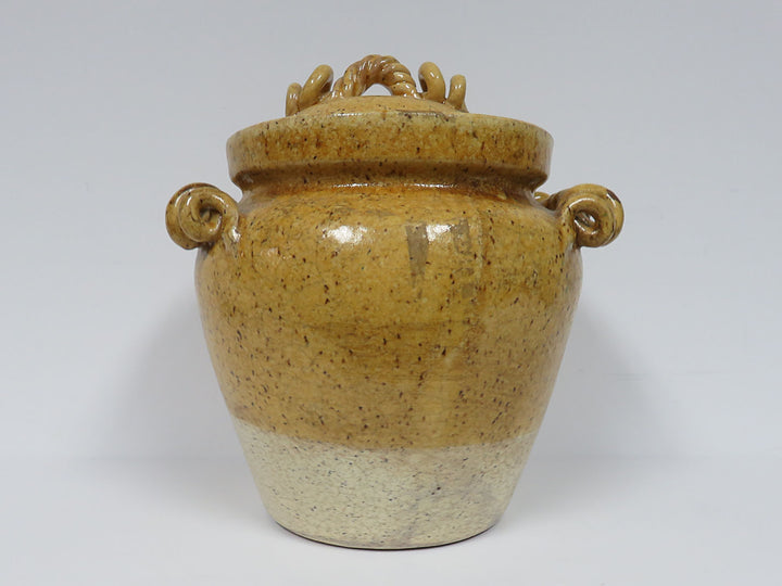 Distressed Covered Pot