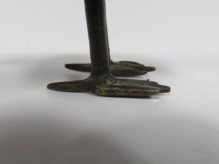 Africani Bronze Bird
