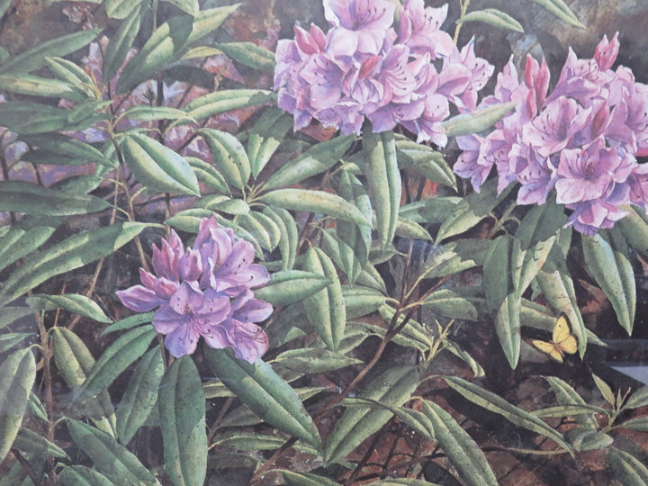 Rhododendroms Artwork