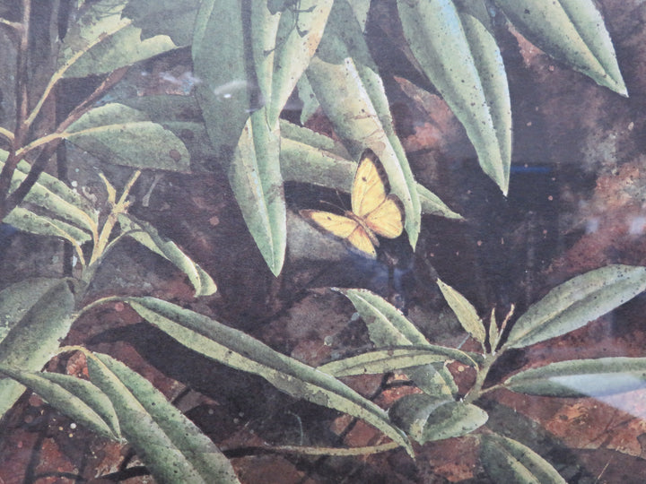 Rhododendroms Artwork