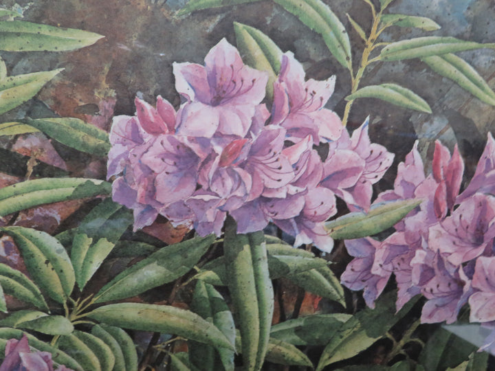 Rhododendroms Artwork