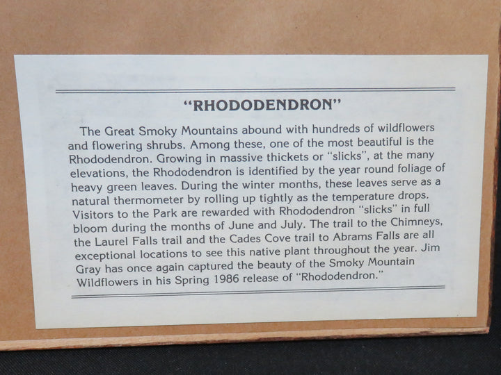 Rhododendroms Artwork
