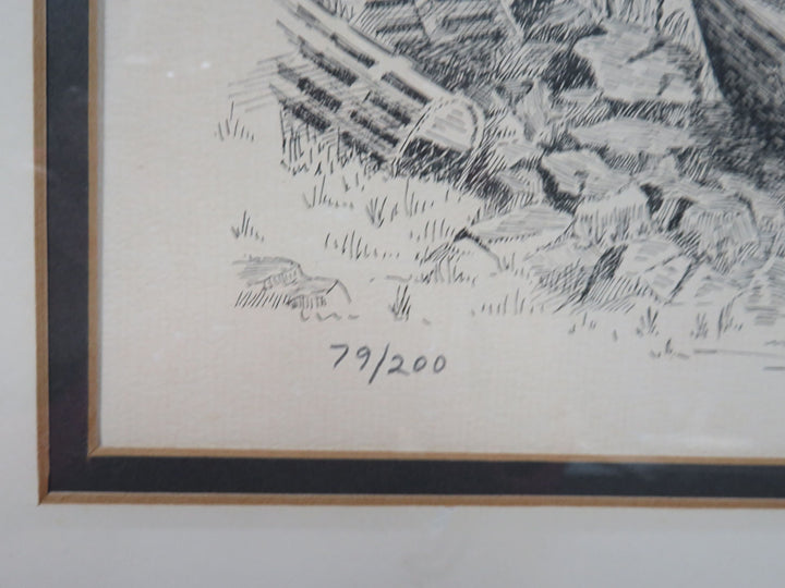 Vintage Fishing Print