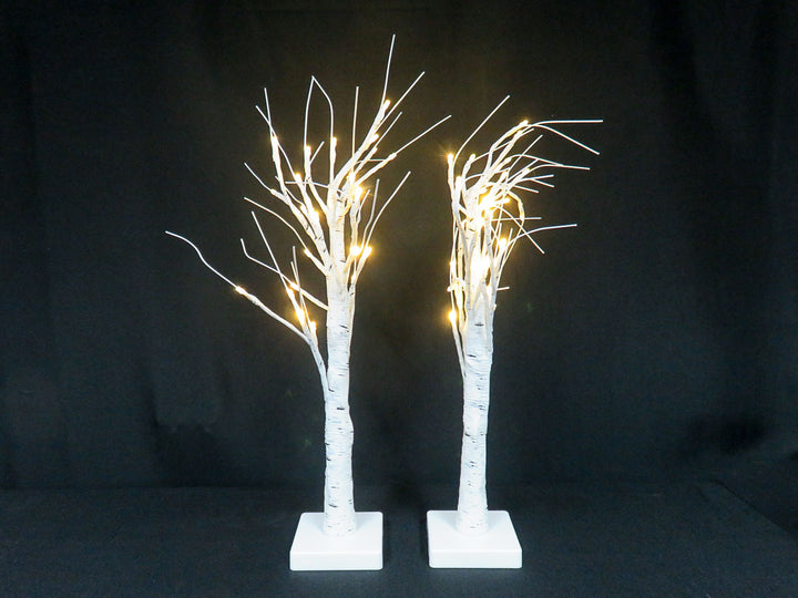 Illuminated Birch Trees