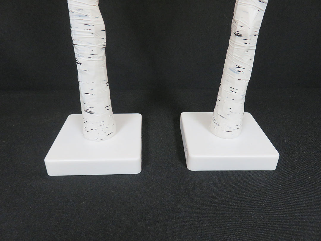 Illuminated Birch Trees