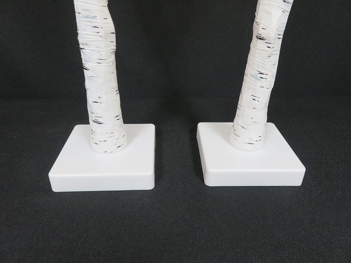 Illuminated Birch Trees