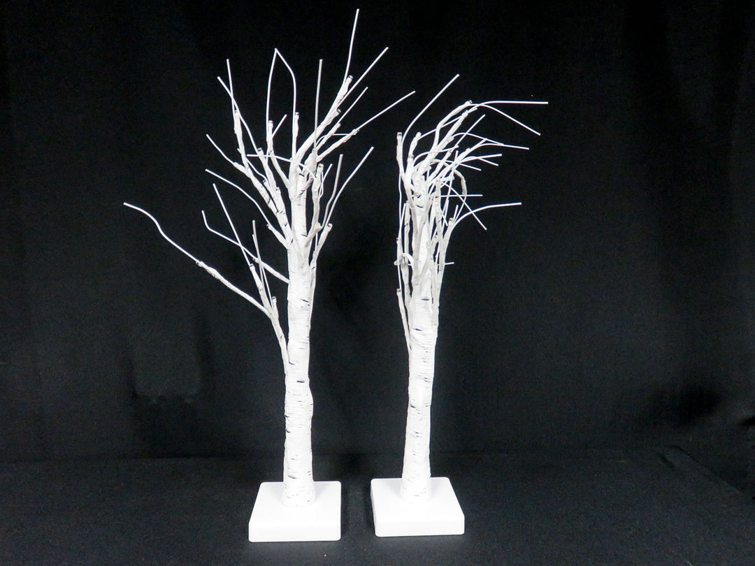 Illuminated Birch Trees