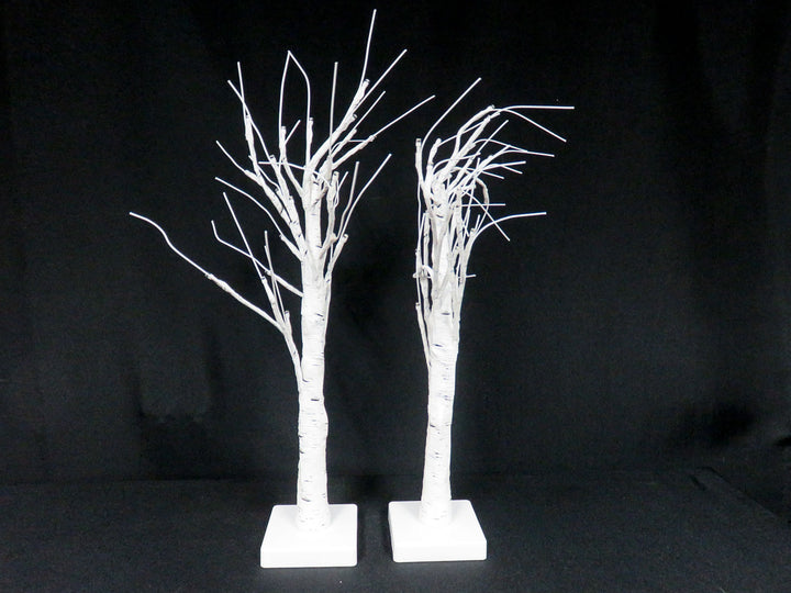 Illuminated Birch Trees
