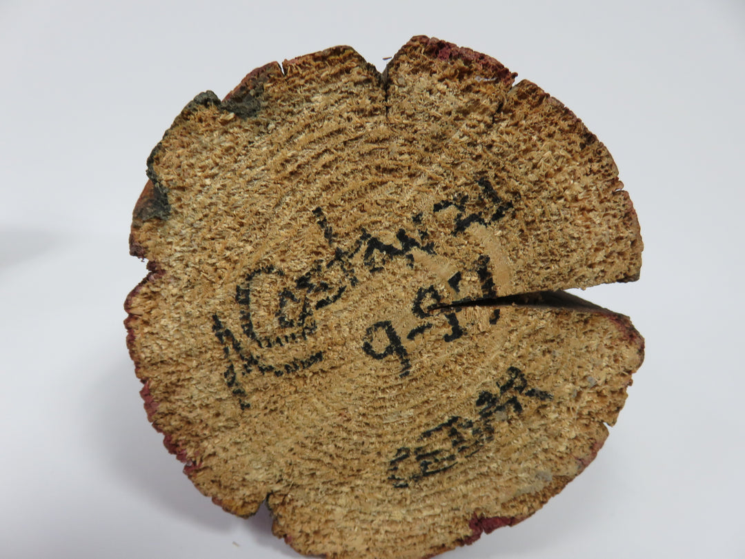 A. Costanza Pilgrim Couple Fugurines