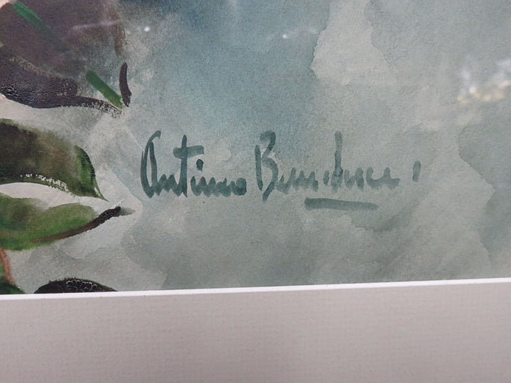 White Rose Signed Original Watercolor