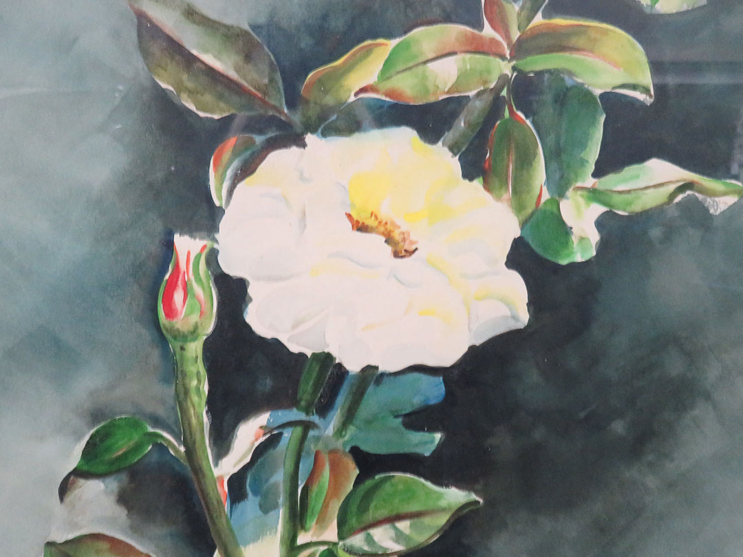 White Rose Signed Original Watercolor