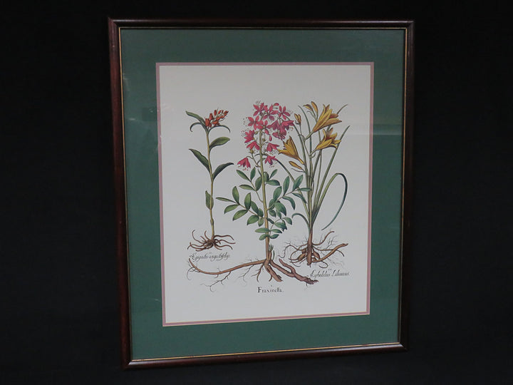 Floral Botanical Print