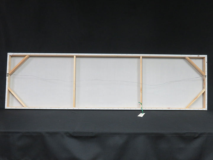 Icicle  Design Canvas Print