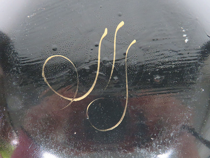 Artifax Designs Decorative Plate