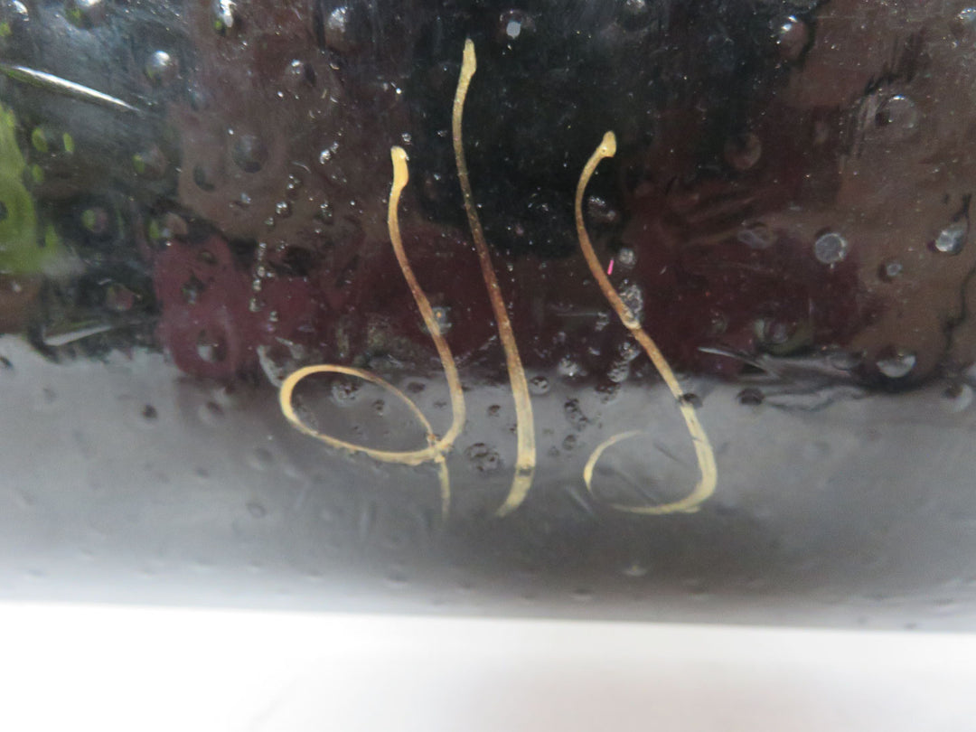 Artifax Designs Decorative Platter