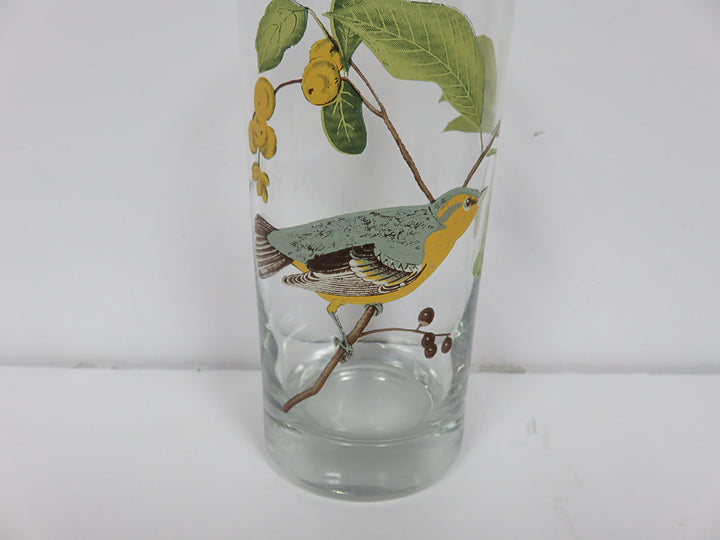 Bird Tumblers