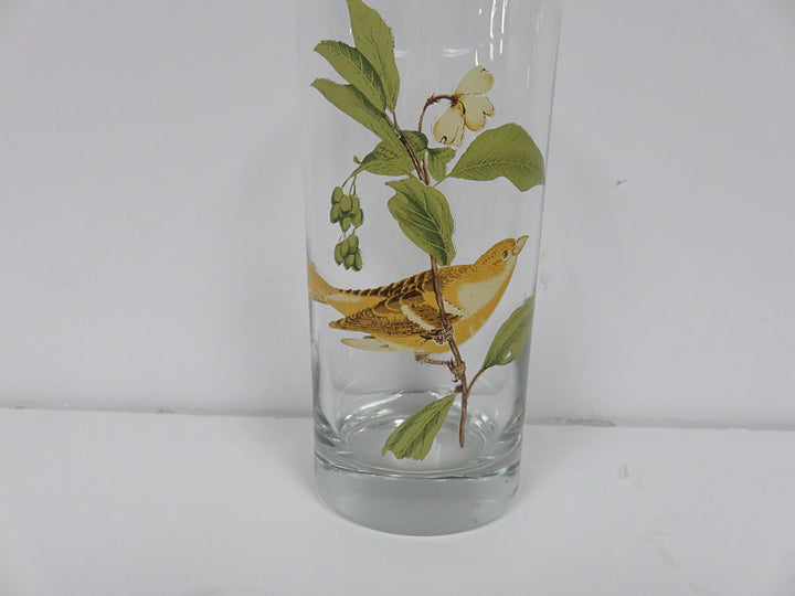 Bird Tumblers