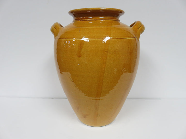 Ceramic Handled Vase