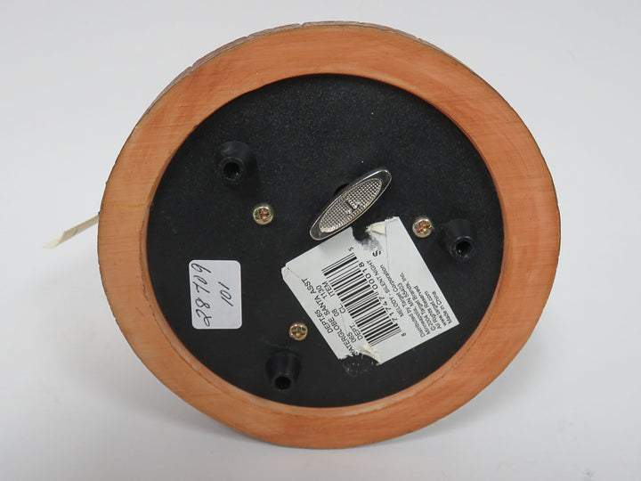 Christmas Snow Globe