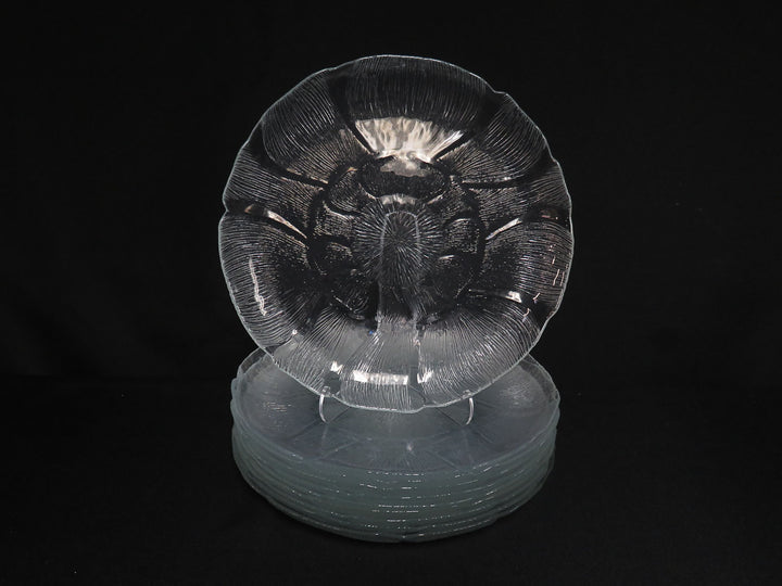 Arcoroc Dinner Plates