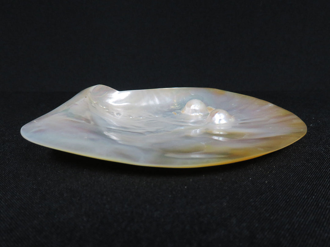 Shell Trinket Dish