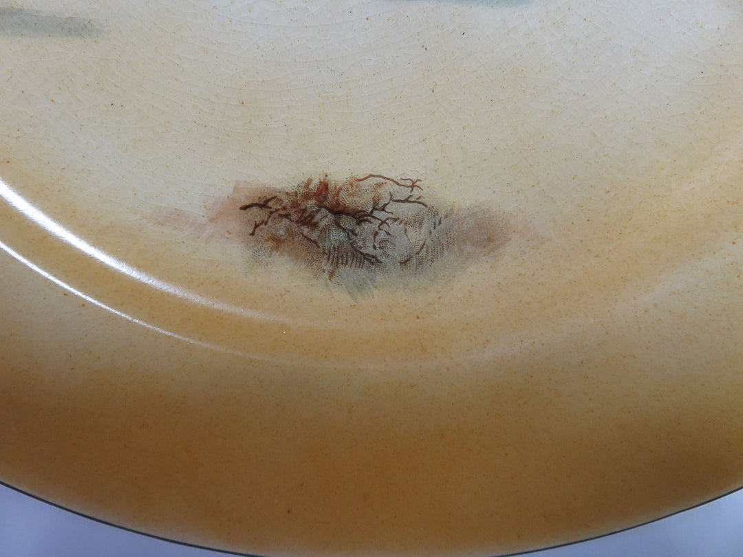 Royal Doulton  Dinner Plate