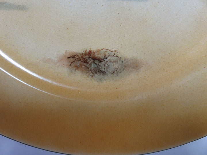 Royal Doulton  Dinner Plate