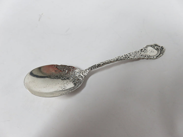 Embossed Sterling Silver Spoon
