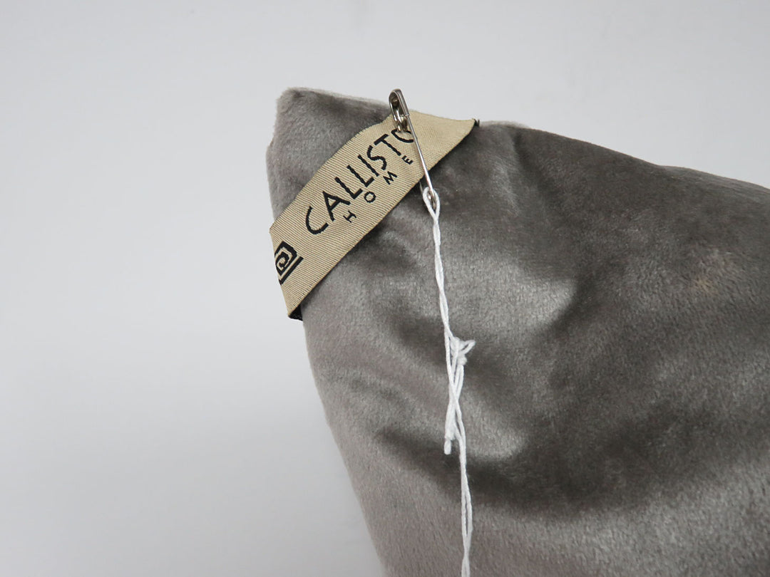 Callisto Home Throw Pillow