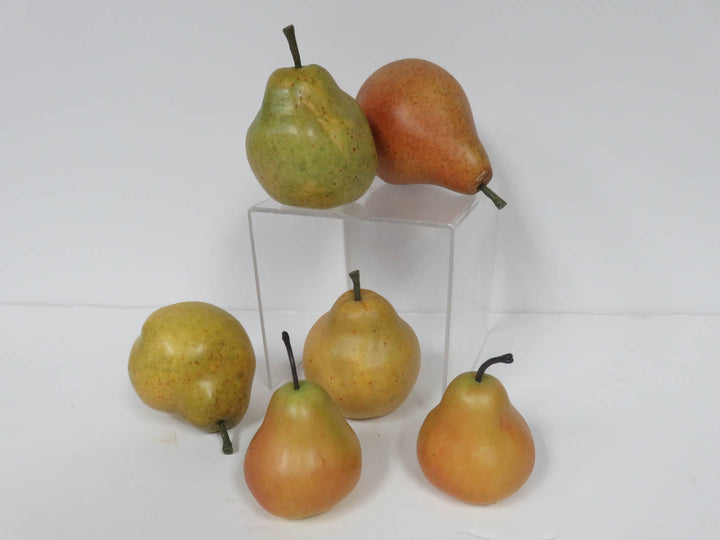 Decorative Bosc Pears