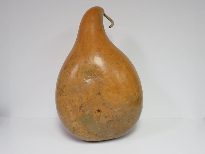 Large Hand Painted Gourd