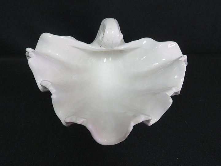 Clam Shell Shaped Bowl
