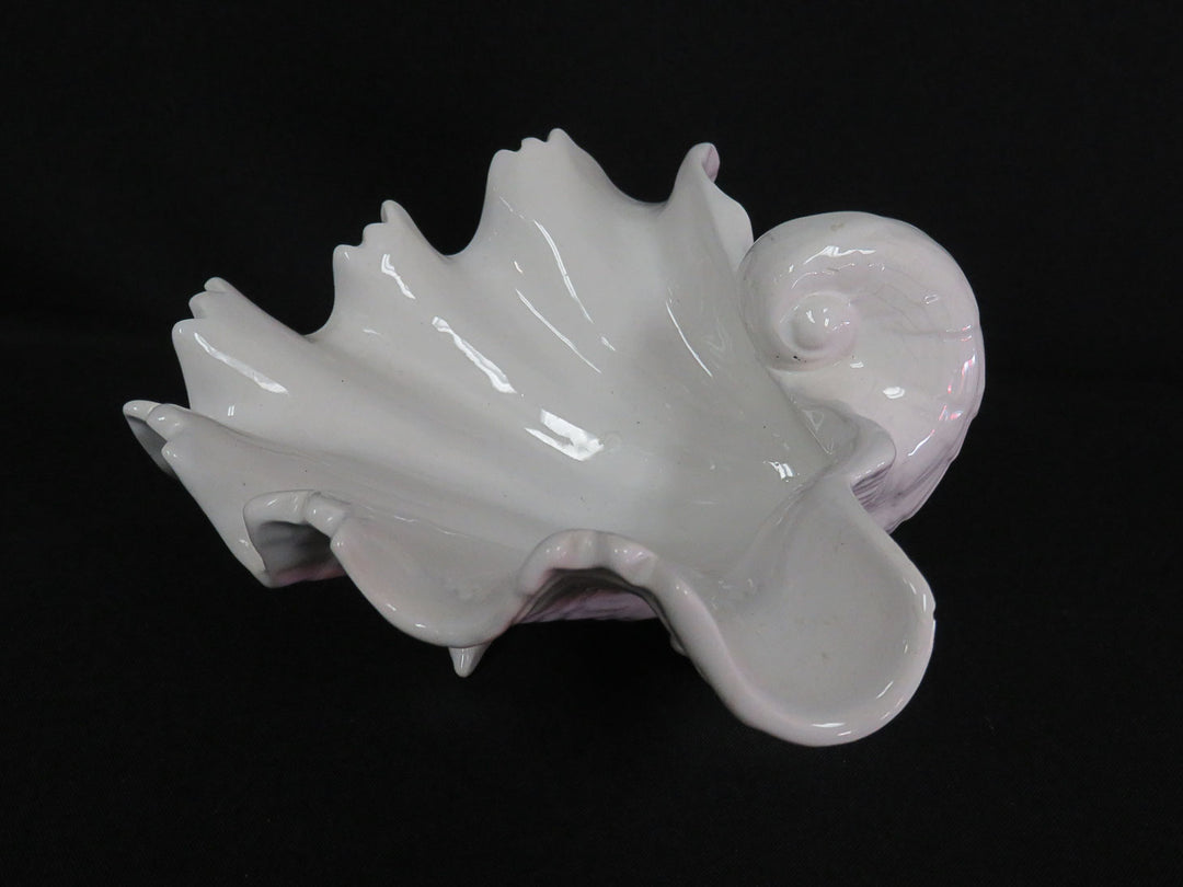 Clam Shell Shaped Bowl