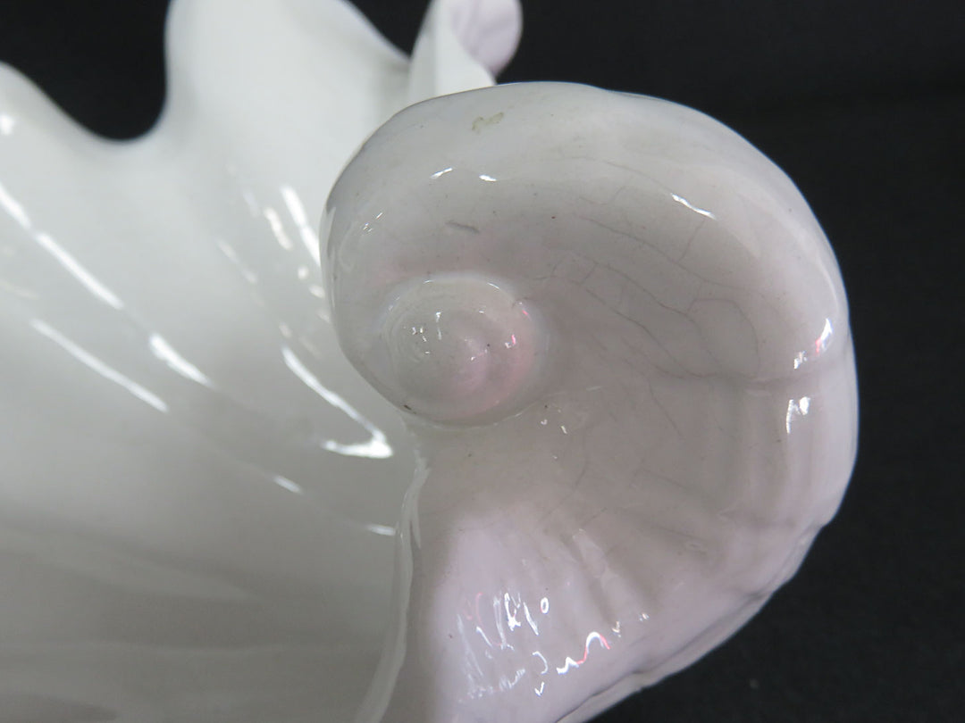 Clam Shell Shaped Bowl