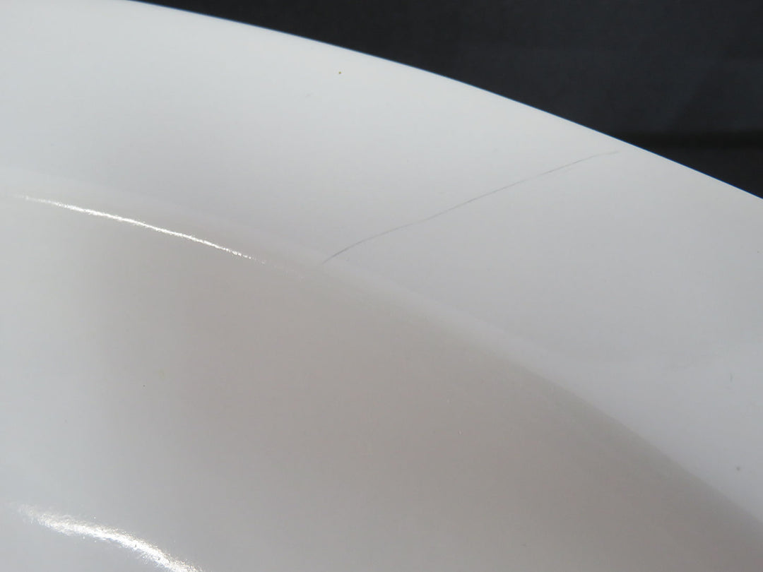 Pottery Barn Pasta Bowl
