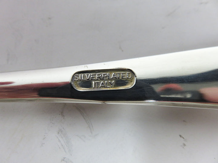 Italian Cake or Pie Server