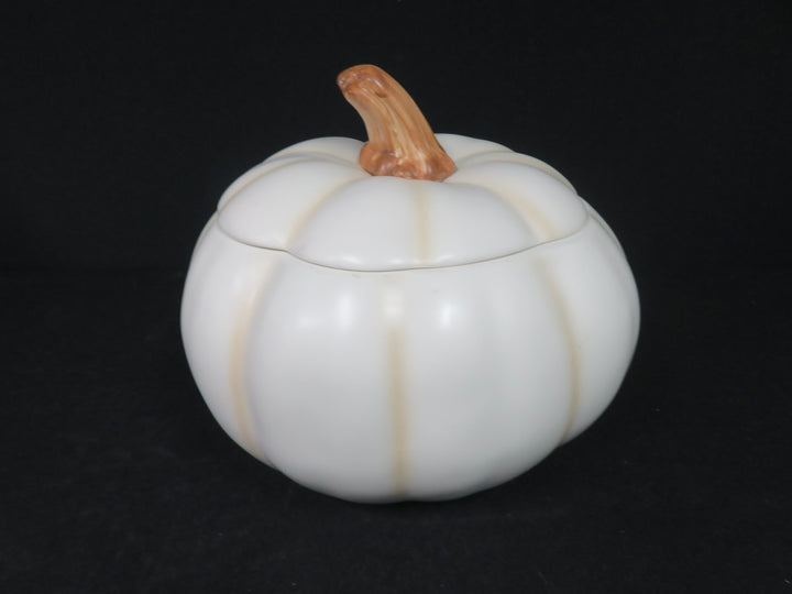 White Pumpkin Covered Jar