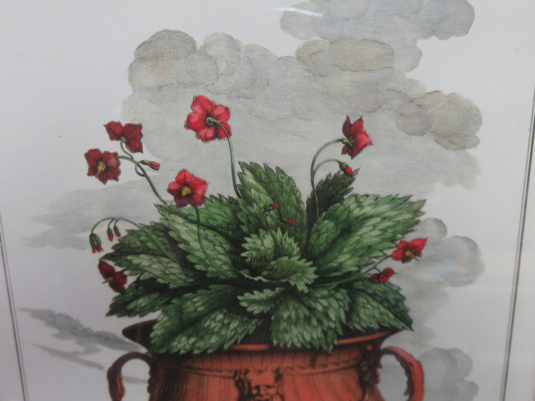 Bear's Ear Trowbridge Gallery Print