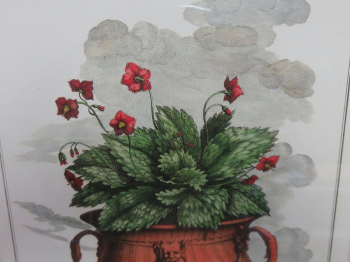 Bear's Ear Trowbridge Gallery Print