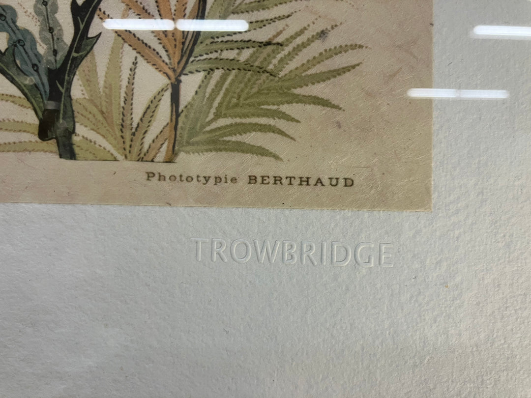 Hand Tinted Fantasy Floral Print Plate I