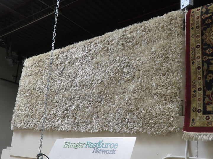 Beige Shag Area Rug