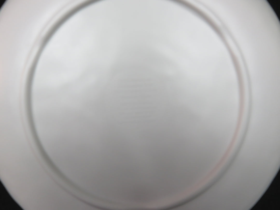 Melamine Appetizer Plates