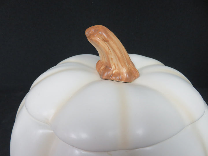 White Pumpkin Covered Jar
